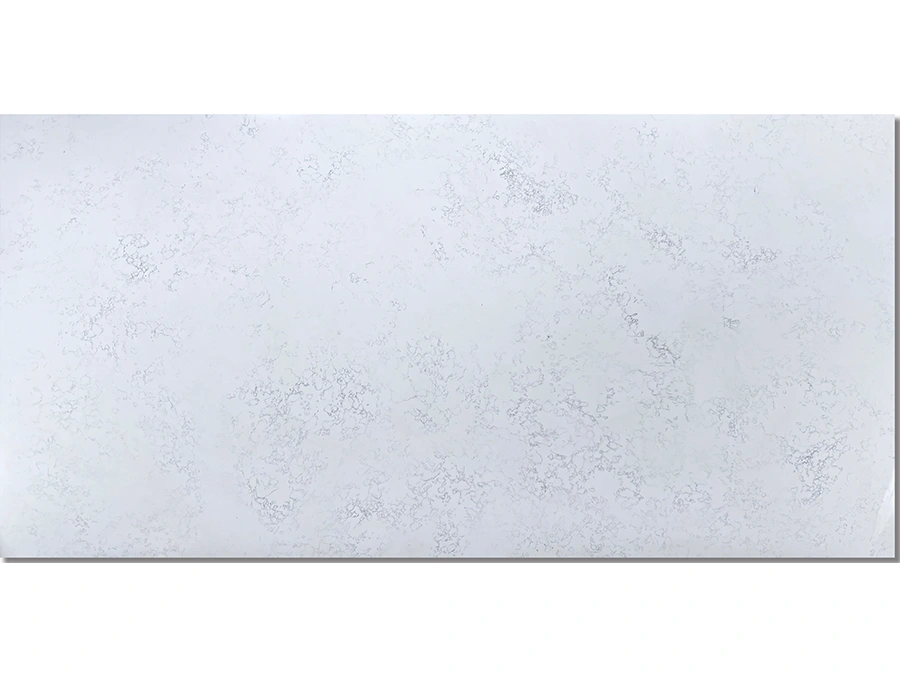Calacatta Carrara Quartz